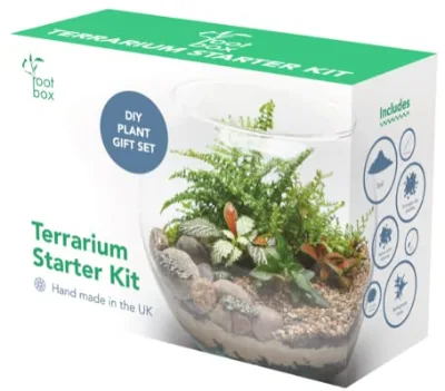 Large Plant Terrarium Kit in Scented Gift Box
