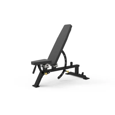 Adjustable Dumbbell Bench