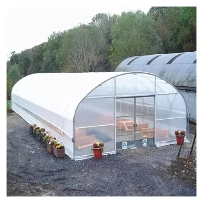 Low Cost Customized PE Film Large Single Span Tunnel Tomatoes Blueberry Greenhouse with Easy Assembly for Agriculture