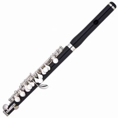 Ebony Piccolo Popular Great Quality Wind Instrument FPC-200