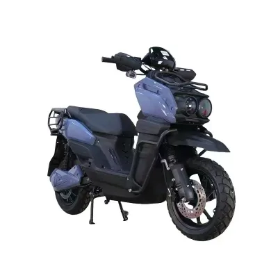 Electric Mountain Bike New Model High-speed Electric Scooter 60V Rear Hub Motor Lithium Battery Steel Frame in SKD
