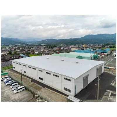 Q355B Grade Light Steel Structure Customizable Warehouses for Workshop & Gym Construction