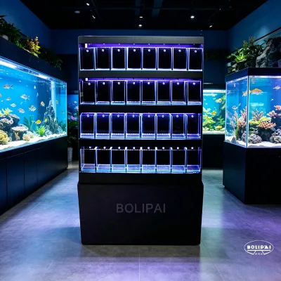 OEM 32 Pcs 4x4x4'' Industrial Solid Hollow Glass Large Betta Tank System with Biological Lighting & Filtration