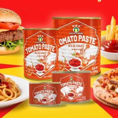 Wholesale Bulk 22%-24% Organic Fresh Salad Sweet Sour Ketchup Vegetable Canned Tomato Paste