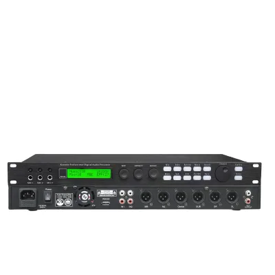 Professional 6 Channel Digital Feedback Suppressor Microphone Anti Howling Karaoke Effect Use for Meeting Room Conference