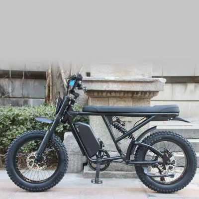 US Retro 20inch Fat Off Road Tire Powerful 1500W Rated Power Ebike Long Seat Full Suspension DNM Air Rear Shock Electric Bicycle