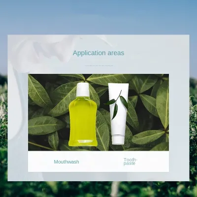 Customizable High-quality Classic Mint Toothpaste Mouthwash Flavors Fragrances Natural Flavour 100% Animal Extract FEMA No. 0000