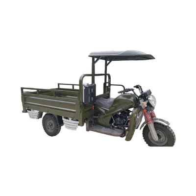 Heavy-duty Three-wheeler 200cc Water-cooled 4-stroke Gasoline Motorized Cargo Farm Delivery Tricycle Reverse Gear Utility Trike