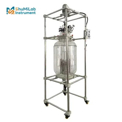 Laboratory-Grade Glass Reactor with PTFE Stirring and Titanium tube for Precision Mixing Applications