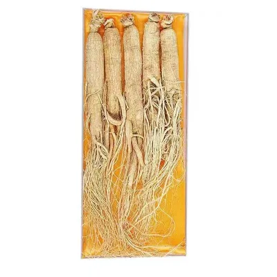 Qingchun Wholesale Bulk Dry Ginseng Root Fresh Ginseng for Hot Sales