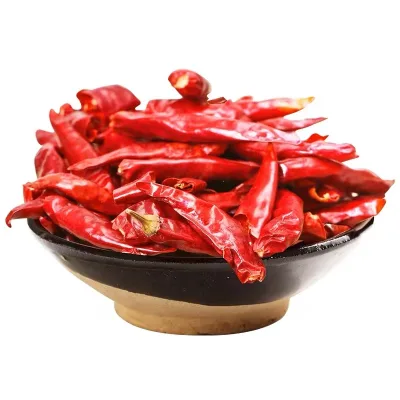 For Sales Spices Herbs Supplier Wholesales High Quality Dried Dry Red Chilli