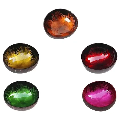Wholesale Eco-Friendly Hand Painted Vietnam Coco Key Smoothie Decorative Coconut Shell Bowl for Camping
