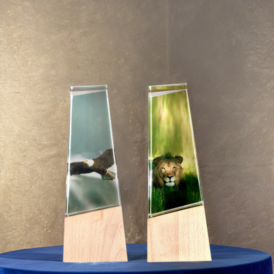 Honor of Animal Pattern Color Printing Glass Trophy Award 3d Internal Carving Wooden Base Trophy Award Crystal Trophy Award