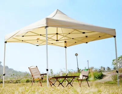 BZD Custom 10 X 10FT 10*15FT 10*20FT 3*3M 3*4.5M 3*6M Outdoor Commercial Promotional Display BZD Tents Marquee for Sale