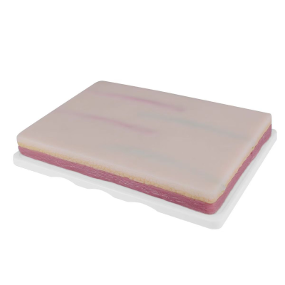 Medical School Practice Use Silicone Venous Blood Drawing Practice Pad Venipuncture IV Practice Pad with 4 Veins