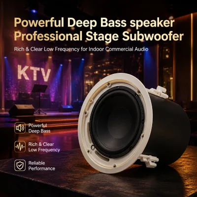 Professional Subwoofer Ceiling Speaker 10 Inch/100V/8ohms/480W ABS Shell Powder Coated Iron Mesh for Indoor Commercial Audio KTV