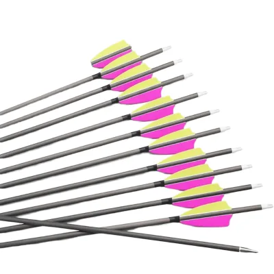 12pc 26-Inch 600-Spine Carbon Arrows Removable Tips Turkey Feather Steel Points Aluminum Inserts-Recurve Compound Bows Adult
