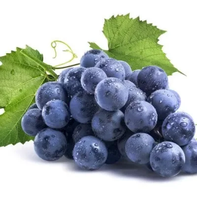 First Harvest Yunnan Jasmine Seedless Grapes Sweet Bulk Seasonal Fruit Whole Box Shipped Freshly Picked