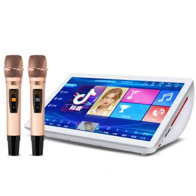 Professional 19inch Touch Screen Home Karaoke Machine with 22500 Songs Karaoke System Machine for Home Party KTV