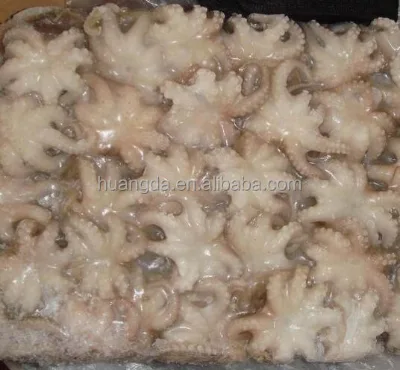 Hot Sale IQF Seafrozen Boiled Baby Octopus Frozen Octopus-High Demand Product