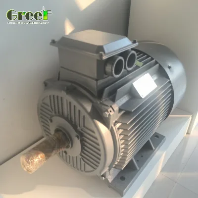 Professional 3MW Low Speed LOW RPM LOW START TOQUE LOW NOISE Permanent Magnetic Generator