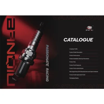 Wholesale 6018 Dual iridium Spark Plug for cars.
