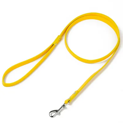 Pet Training Leash Puppy Walking Custom Dog Leash for Large Medium Small Dogs