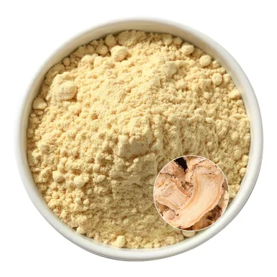 Pure Angelica Sinensis Extract Lubricate the Intestines Herbal Extract Sinensis Extract Dong Quai Angelica Root