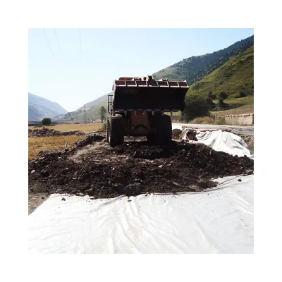 High Strength 5mm Nonwoven Non Woven Geotextiles Roadblack Geotextile Geotextilefabrics Geomembrana Geomembrane in Stock