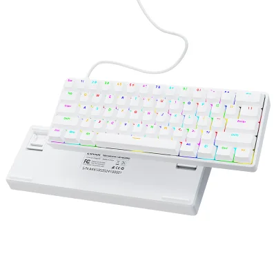 AK61 Compact Wired Mechanical 61 Keys English Layout RGB Backlit USB Type-C ABS Delicate Keycap Blue/Red Switch Detachable Cable