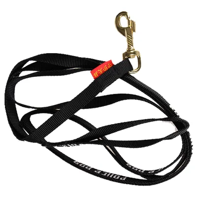 Training Leash for Dogs Durable Metal Hook Pet Lead with Locking Clip Obedience Control Walking