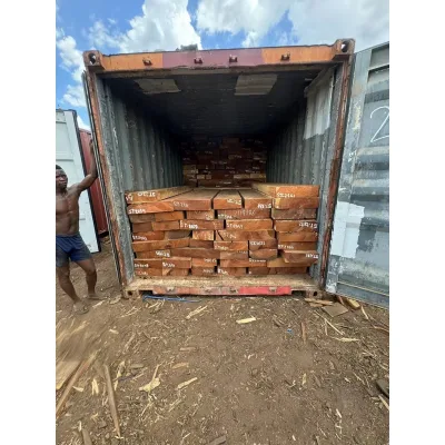 High-End Quality Industrial Import Timber Logs Online Technical Support From Mozambique