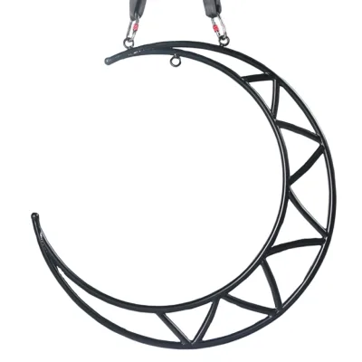 Complete LED Aerial Moom Lyra Hoop Set With Carabiners Daisy Chain Pose Guide for Aerial Yoga Swing for Sports Entertainment