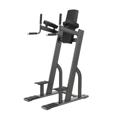 New Product Vertical Knees Up/Dip Commercial Gym Fitness Strength Training Workout Machine