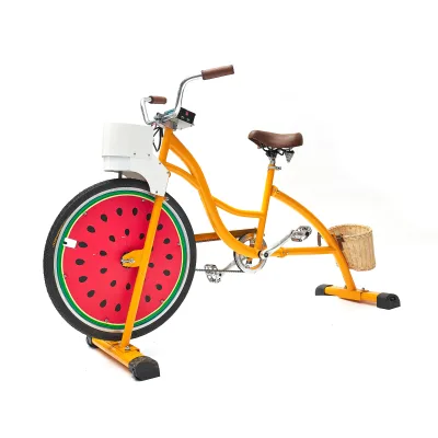 EXI Hot Trending Products Electricity Generation Machines Bike Human Powered Amusement Hybrid Cruiser Bicycle Charger Phone