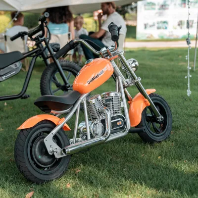 New Design Hyper Go Go Inch Electric Dirt Bike 24V for Kids Age 7-12