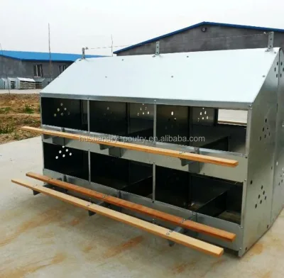 Chicken Egg Nest Box for Chicken Farm with 12 Hole