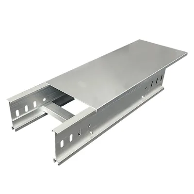 Durable Stainless Steel 304 Cable Tray Ladder Galvanized Indoor Anti-Rust HDG Perforated Trunking Cable