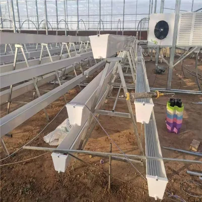 Small Large PVC Gutter Racks Single Layer Vertical Design for Efficient Strawberry Cultivation Agricultural Greenhouses Stable