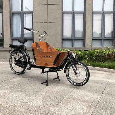Nanyang / Clamber / OEM Brand Bicycle for Carrying Child to Go School