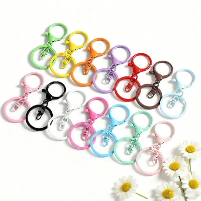 Wholesale Colorful Zinc Alloy Modern Minimalist Lobster Clasp Paint Key Ring Chain Key Chain DIY Jewelry