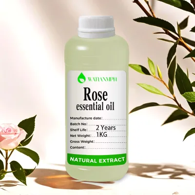Rose Essential Oil 100% Pure Natural Organic Fresh Scented Skin Massage Care Feminine Facial Skin-Friendly All Skin Types