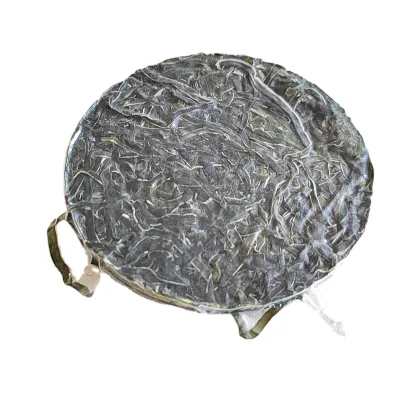 EU Quality and Russia Quality Compressed Edible Kelp for Sale Dried Seafood Wholesale Dried Salted Kelp