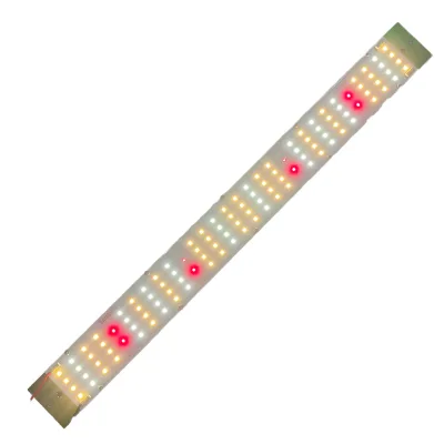W55 L560mm for LM301H EVO 70W IP33 LED for with Osr 660nm