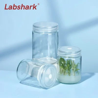 Glass tissue culture bottles