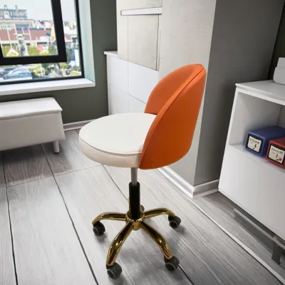 Salon Shop Height Adjustable Hydraulic Technician Tool Chair Removable Rotate Office Chair