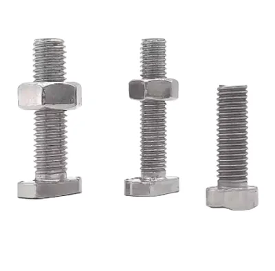 Grade 4.8/6.8/8.8/10.9/12.9 Stainless Steel Rhombus T-head Type Bolts