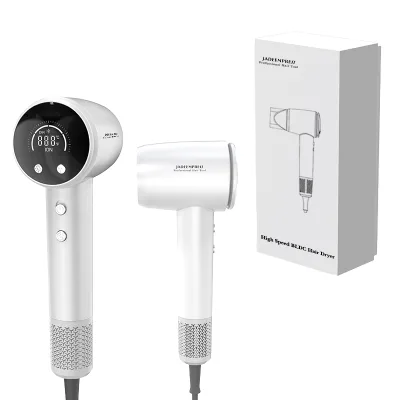 Hair Blow Dryer Factory Sale Popular Cold Shot Function Professional Blow Dryer High Speed Brushless Motor Hair Dryer