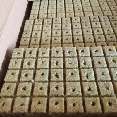 Agricultural Trapezoidal Style for Nursery Plug Superabsorbent Soilless for Rose Cuttings Cucumber Tomato Pepper