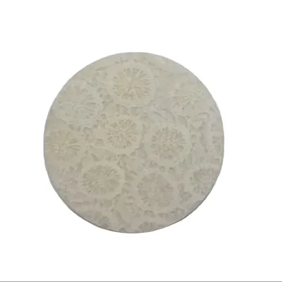 Coral  Watch Dial Custom Watch Dial